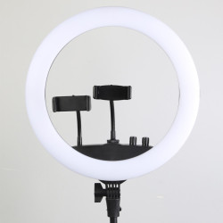 Stepless Adjustable warm and cold lighting photographic selfie light with 2 phone holder